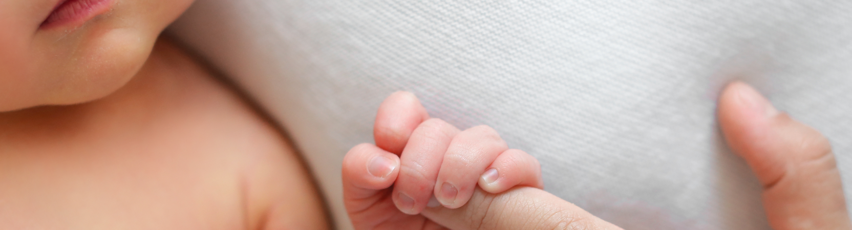 Formation pédiatrique I : Prise en charge du nourrisson et du bébé